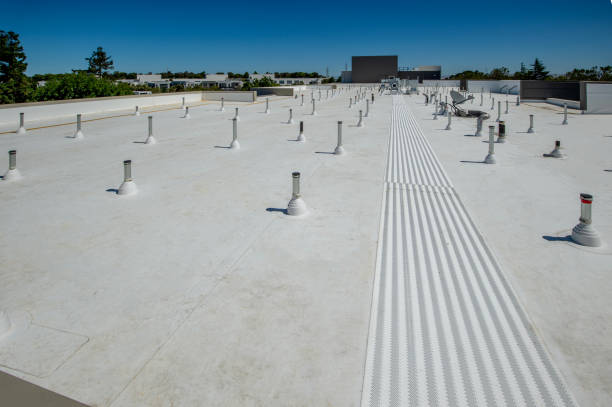 Best Roof Coating and Sealing  in Portsmouth, OH